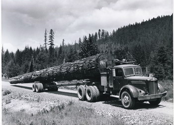 long log on truck