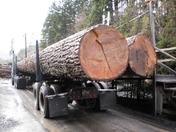 log truck